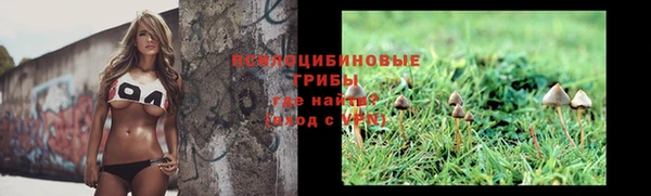 а пвп мука Абаза