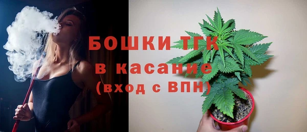 твердый Алексин