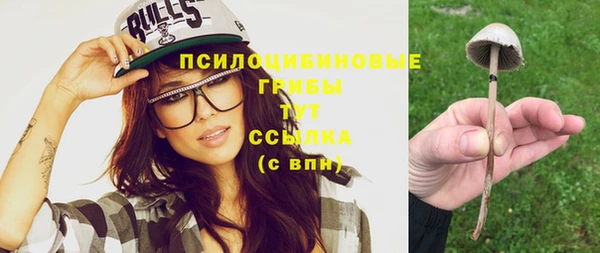 а пвп мука Абаза